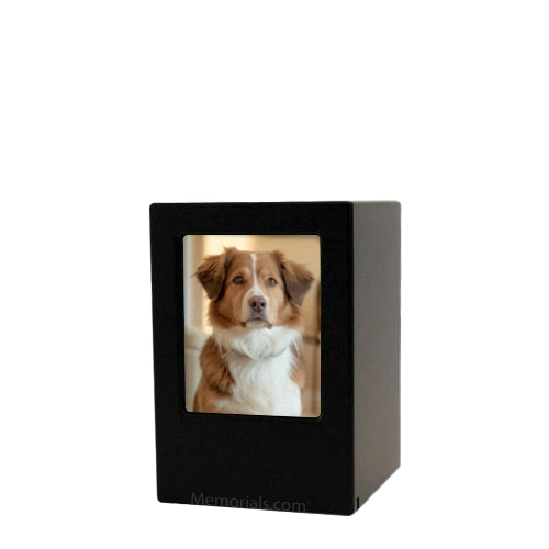 Black Pet Keepsake Photo Wood Urn