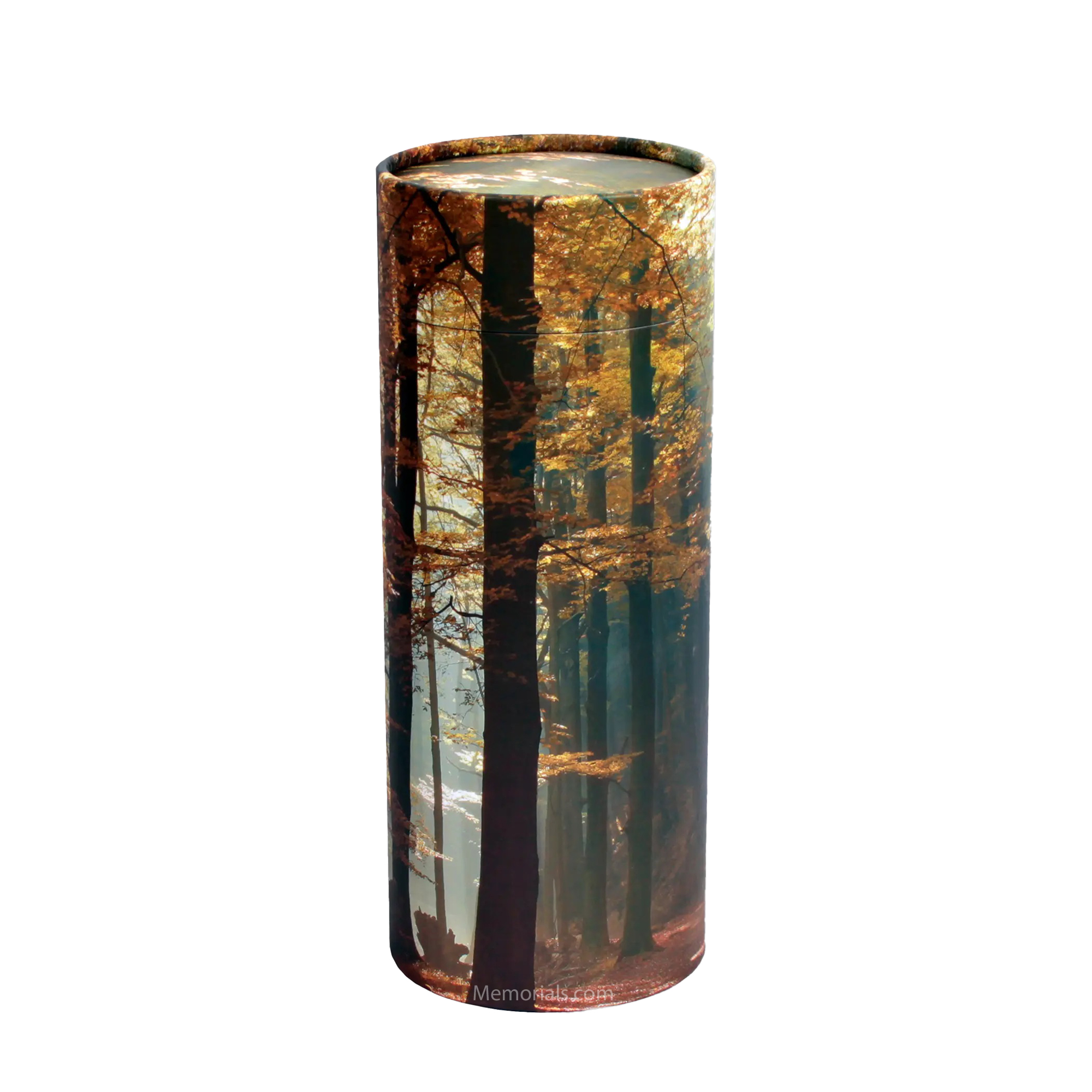 Autumn Scattering Biodegradable Urn