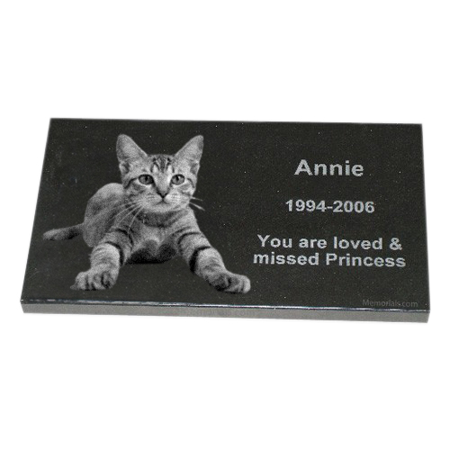 Black Granite Small Pet Stone