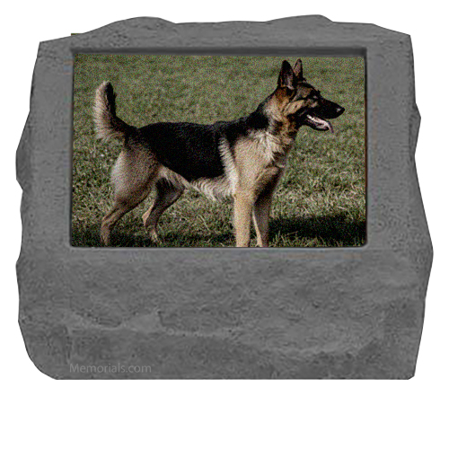 Gone Photo Cremation Urn