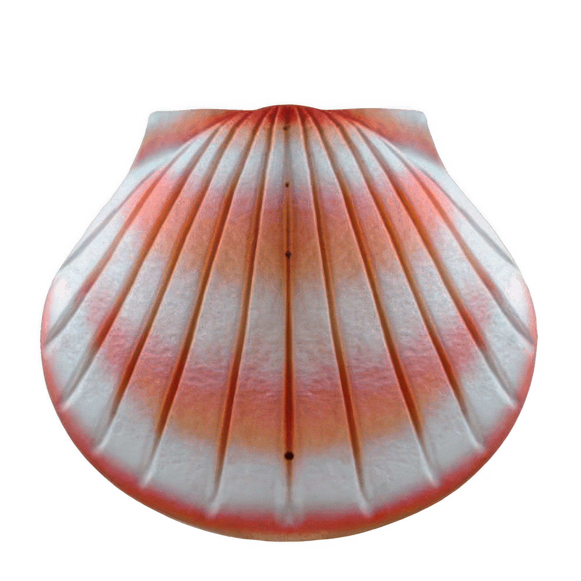 Coral Shell Biodegradable Cremation Urns