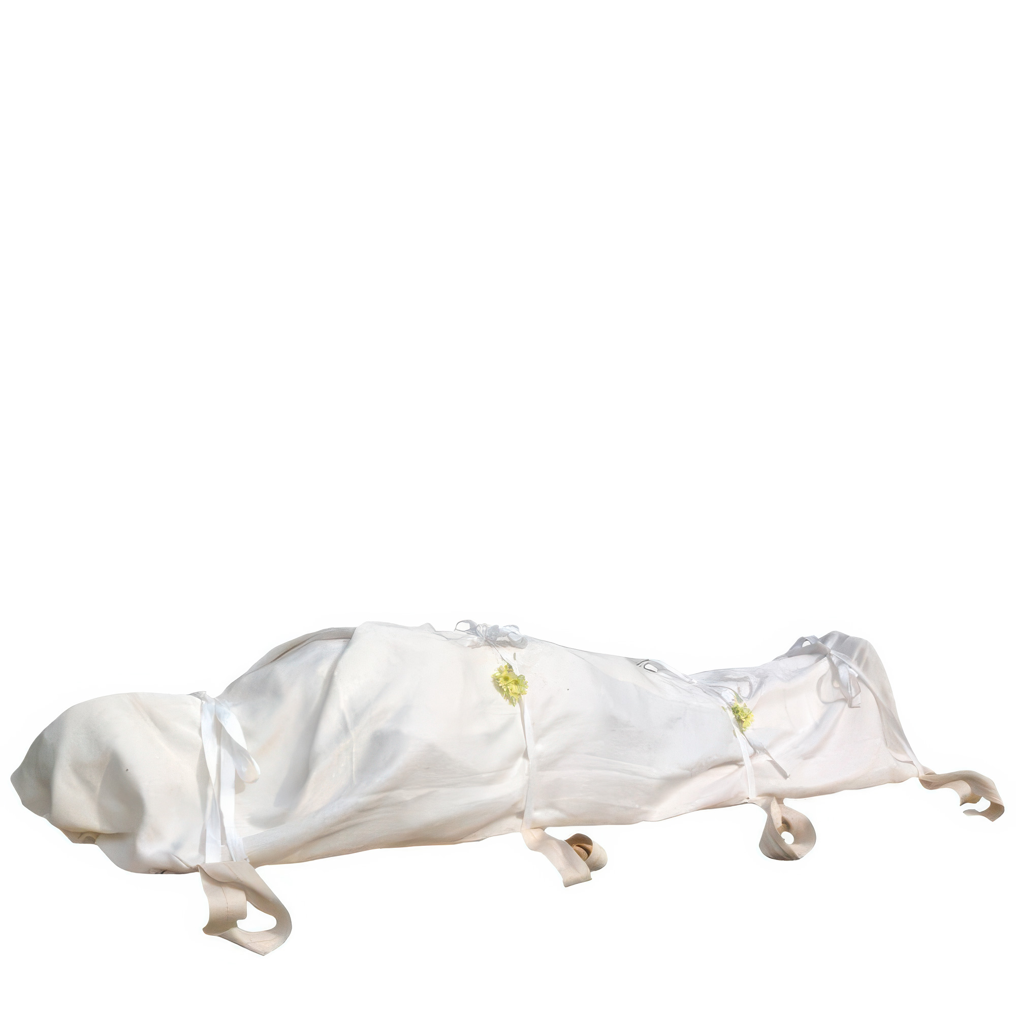 Biodegradable Extra Large Shroud With Handles