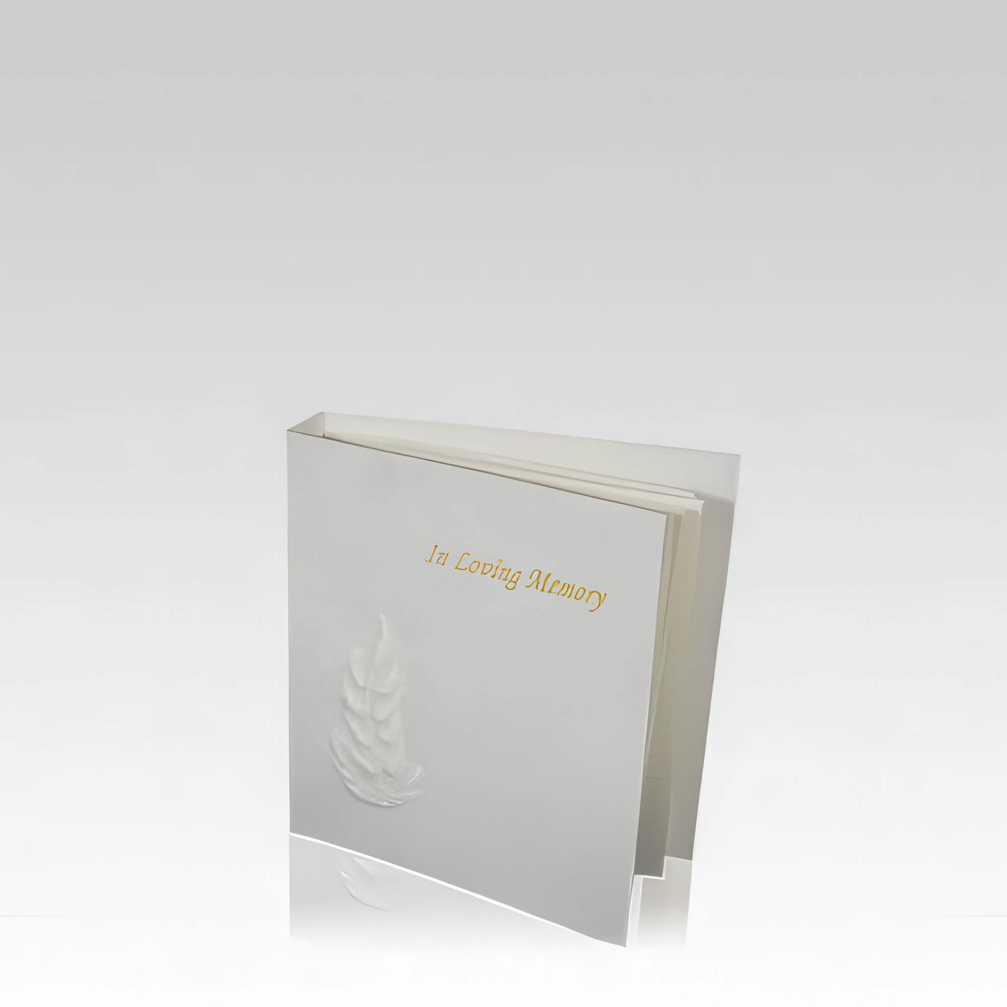 Verne Memorial Guest Book